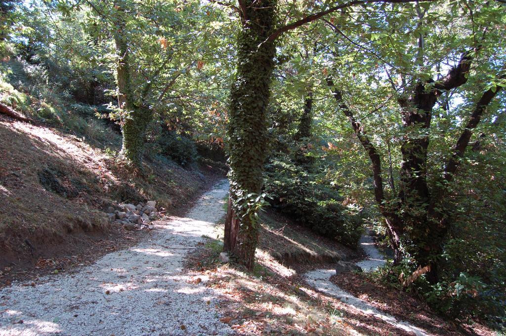 Balletti Park Hotel Viterbo Dış mekan fotoğraf